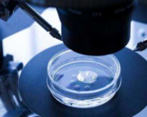 国内代怀孩子,试管婴儿多次不成功是什么原因 试管婴儿多次不成功是什么原因呢