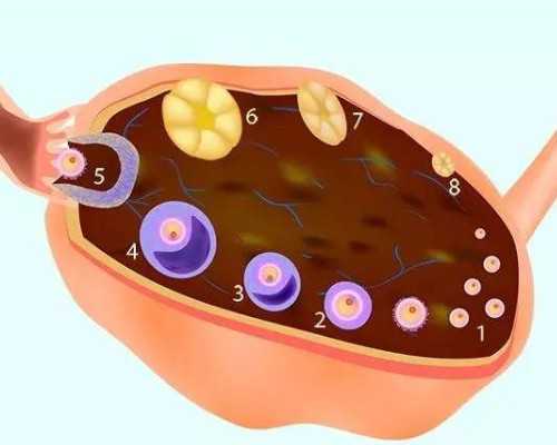 国内供卵三代试管多少钱一个,北京做试管婴儿***价格多少**费用大概多少钱
