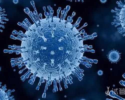 国内供卵自怀价格查询,甘胆酸是查什么的?其临床意义表现在这6个方面