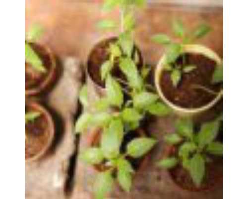 全国供卵私立医院排行榜,单角子宫治疗别花冤枉钱!不同矫正手段费用有差别