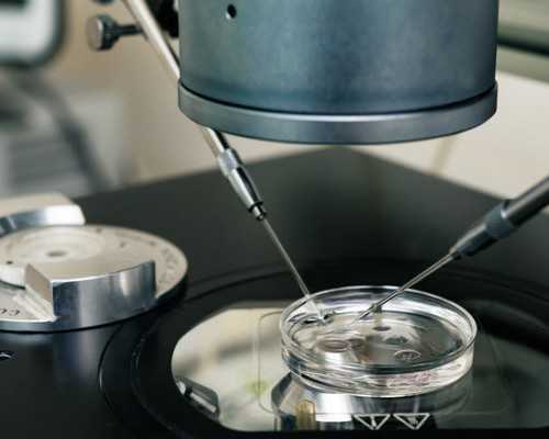 中国供卵机构,借卵子做试管婴儿可以吗?用别人的卵子做试管婴儿要什么条件 ...