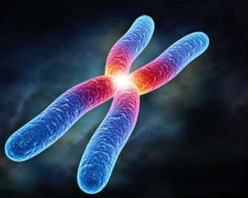 国内供卵中介哪里有,如何给胎儿做发育不良检查?什么时候做胎儿发育状况检查最好?