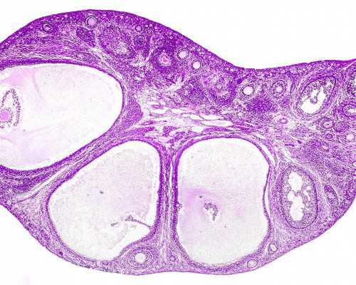 国内正规的供卵试管医院排名,两个月的宝宝吃手正常吗（宝宝总是吃手怎么办）