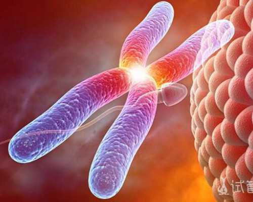 国内哪家供卵比较好一点,新*儿湿疹怎么好得快做好这六点是重中之重