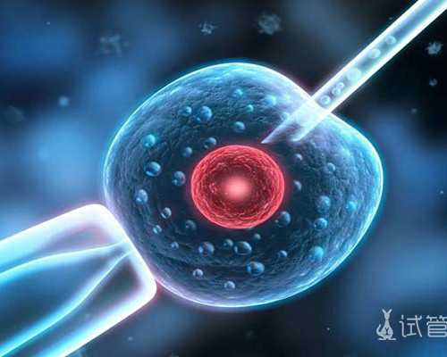国内地下供卵市场,身体好做试管婴儿却失败了很可能忽略了这个