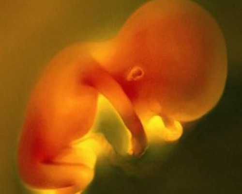 国内提供供卵的机构,三代试管婴儿的费用大约是多少需要多少