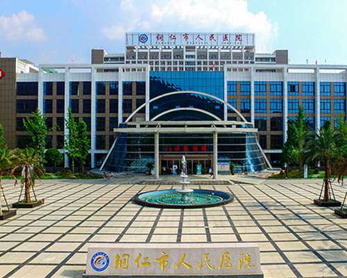 国内代孕哪里最好,已婚女梦见牛追着咬是不是好事答案来了,梦见狮子代表…