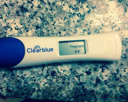 国内供卵的费用多少钱,移植鲜胚的条件及时间(免疫性不孕试管*率怎么样)