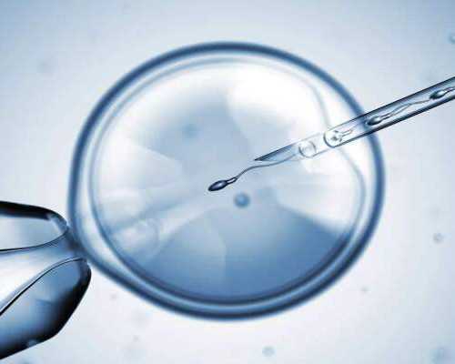 国内有没有供卵交流群,探讨未来？移植胚胎融合10细胞2级的伦理挑战！