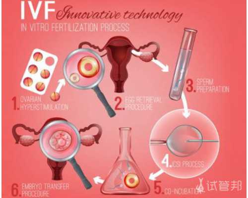 国内试管代怀生殖,做试管前很懵不知道该干啥看这里就知道了