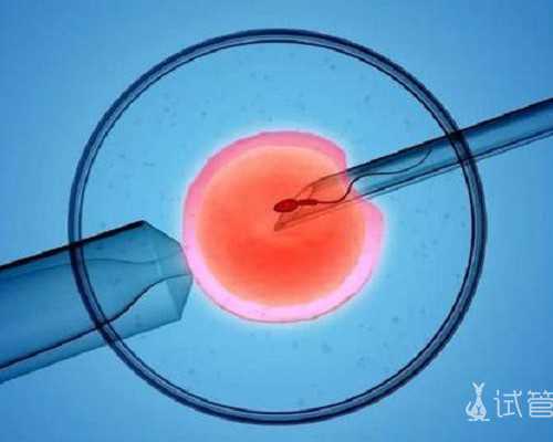 国内借卵代怀机构,重庆的试管婴儿医院哪家成功率高6家试管医院技术介绍