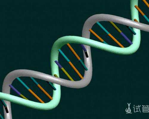 国内助孕供卵网点,二胎必做孕前检查项目有哪些?