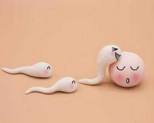 国内代怀生宝宝,丽水万丰能做试管婴儿了?具体费用和成功率一文了解