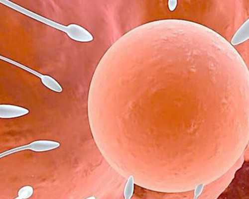 国内供卵包男孩机构,试管婴儿胚胎移植后出血是怎么回事呢(正常吗)