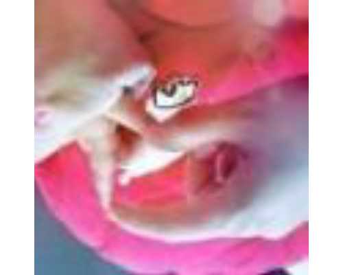 全国供卵试管婴儿医院排行榜,2026国内三代试管婴儿费用汇总，不管pgd还是pgs都不报销