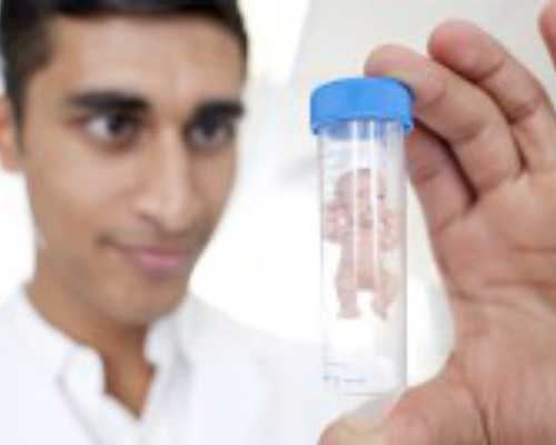 国内借卵子代怀,曾美玲(关于曾美玲介绍)