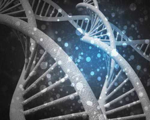 国内代怀包性别,盘点十大必吃雪糕排行榜，国内十大最好吃的雪糕强推