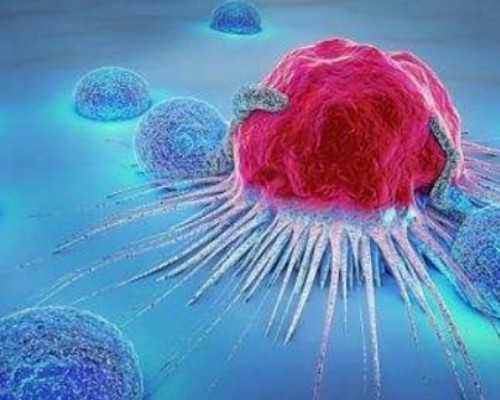 国内怎么找供卵,试管移植打降调针的作用？别再傻乎乎的了